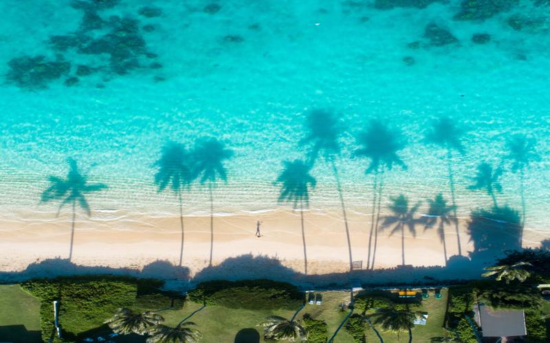 Read more about the article 🌴 Curaçao Travel Guide: Planning Your Perfect Caribbean Getaway 🌊✨