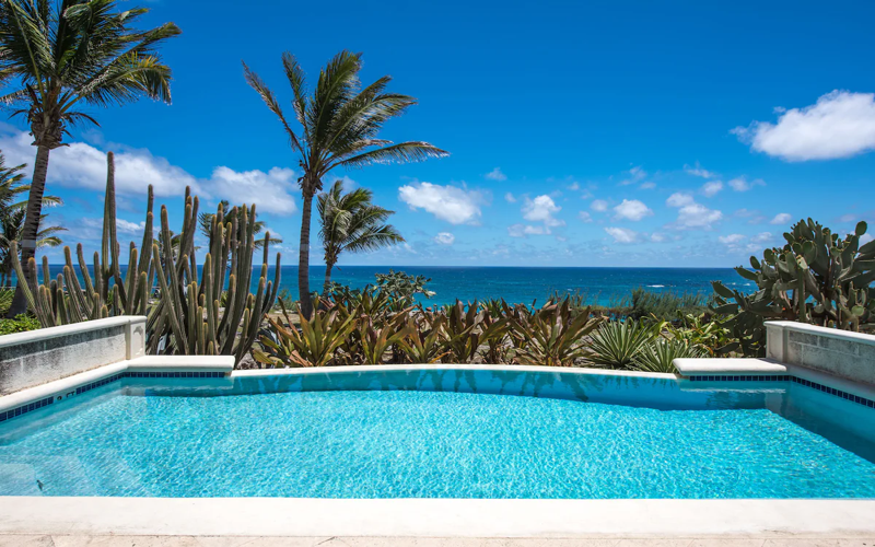 Luxury Barbados hotel with private pool, palm trees, and ocean view